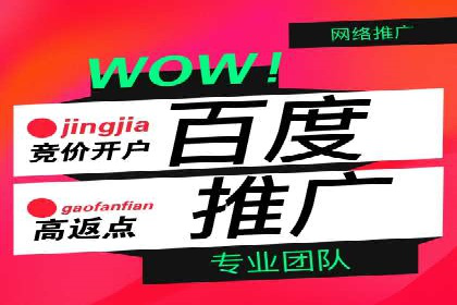 百度竞价运营案例分析：实战经验总结