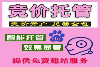 案例分享：百度竞价广告投放策略与效果